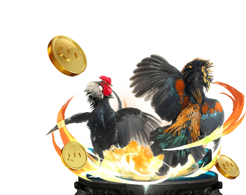 Đá Gà Trực Tiếp 888p Game